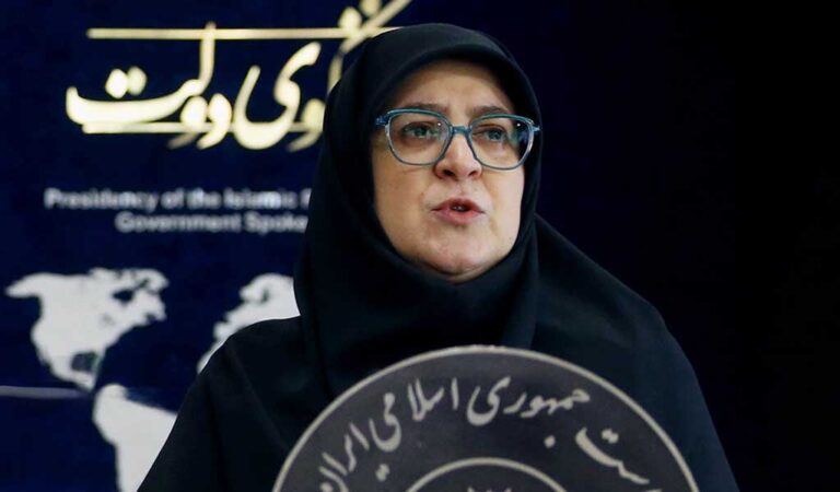 سخنگوی دولت در حال توضیح سیاست‌های ارزی در نشست خبری