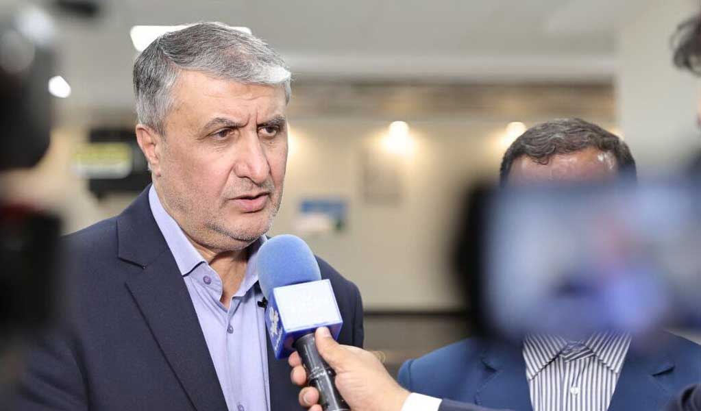 دیدار محمد اسلامی و رافائل گروسی در سازمان انرژی اتمی ایران