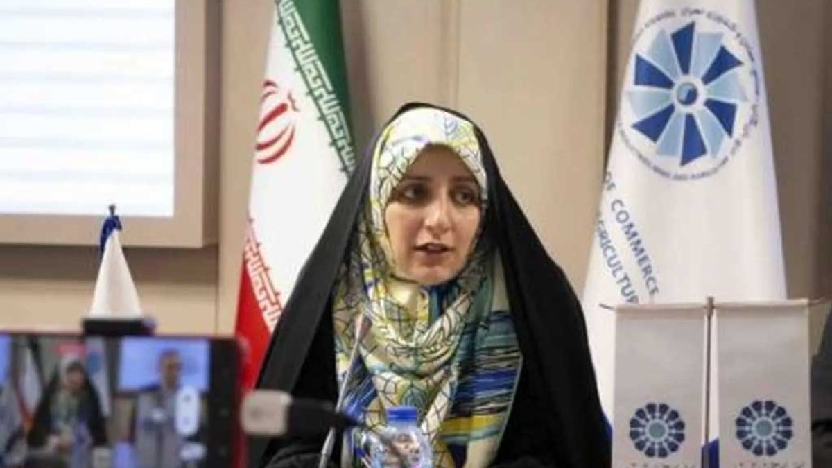 لایحه حمایت از بانوان در مجلس شورای اسلامی