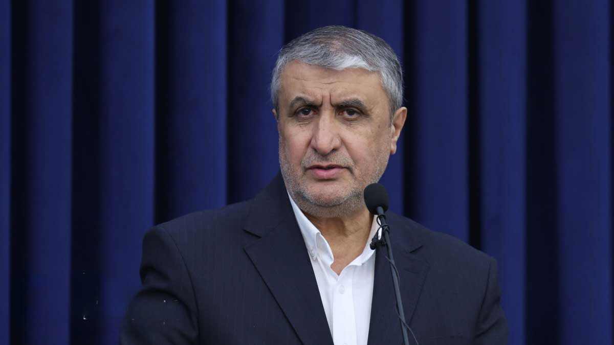 محمد اسلامی رئیس سازمان انرژی اتمی ایران در کنفرانس آژانس بین‌المللی انرژی اتمی