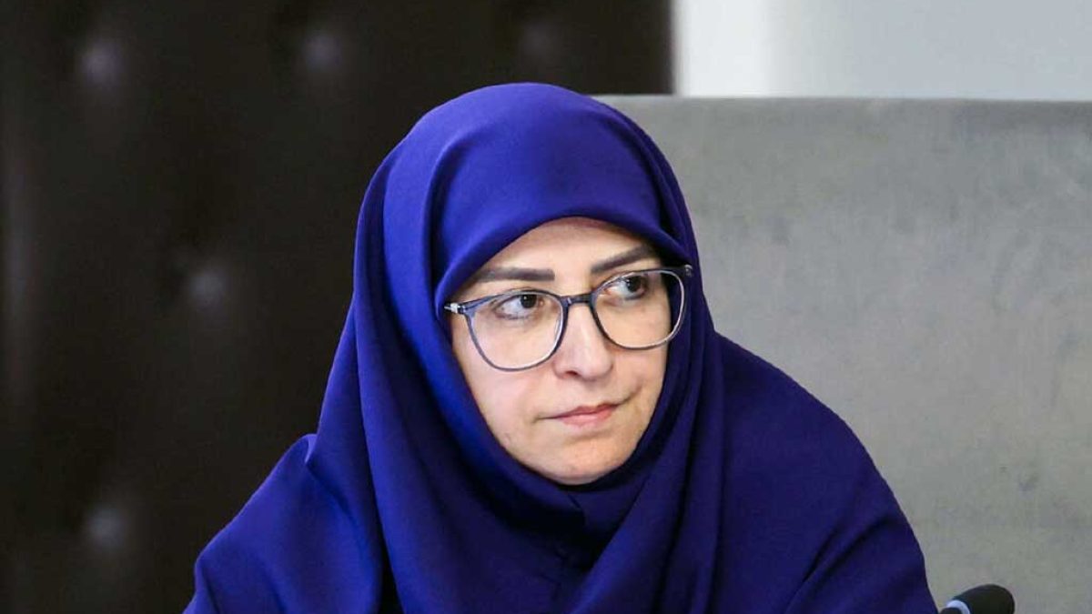 رئیس سازمان حفاظت محیط زیست در حال اعلام خبر حذف بند عوارض آلایندگی از بودجه ۱۴۰۴