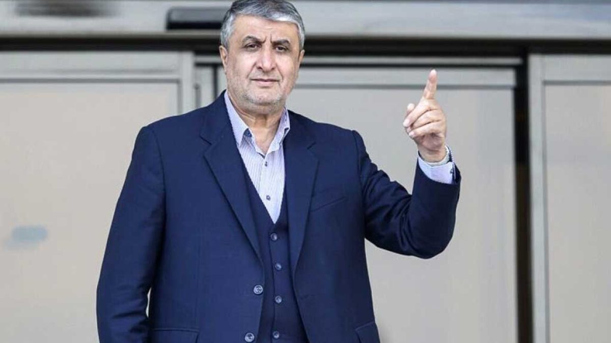 رئیس سازمان انرژی اتمی ایران در حاشیه جلسه هیئت دولت