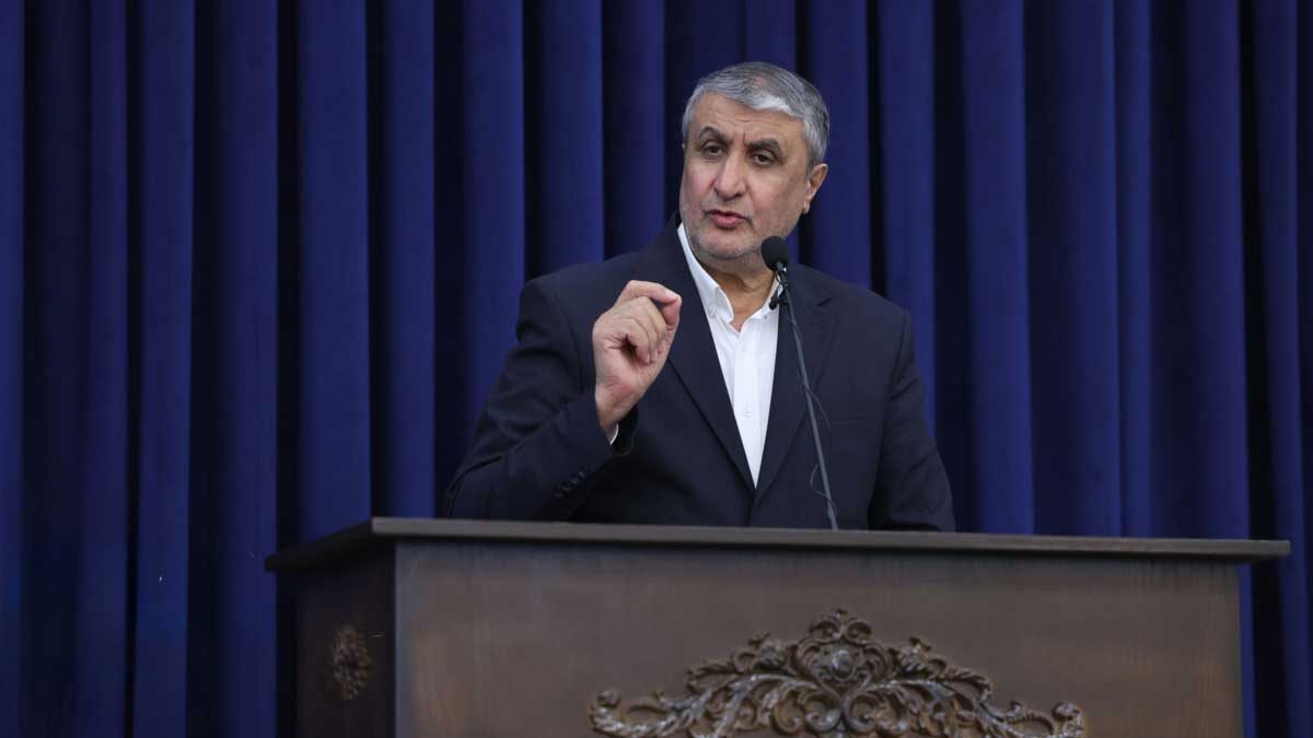 محمد اسلامی رئیس سازمان انرژی اتمی ایران در کنفرانس آژانس بین‌المللی انرژی اتمی وین