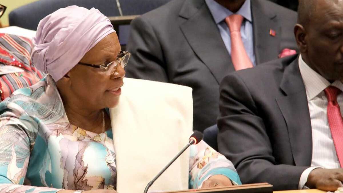 اجلاس کمیته اتحادیه آفریقا در سازمان ملل