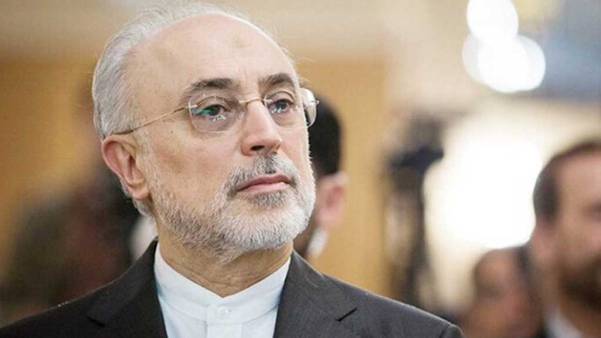 علی‌اکبر صالحی رئیس جدید بنیاد ایران‌شناسی
