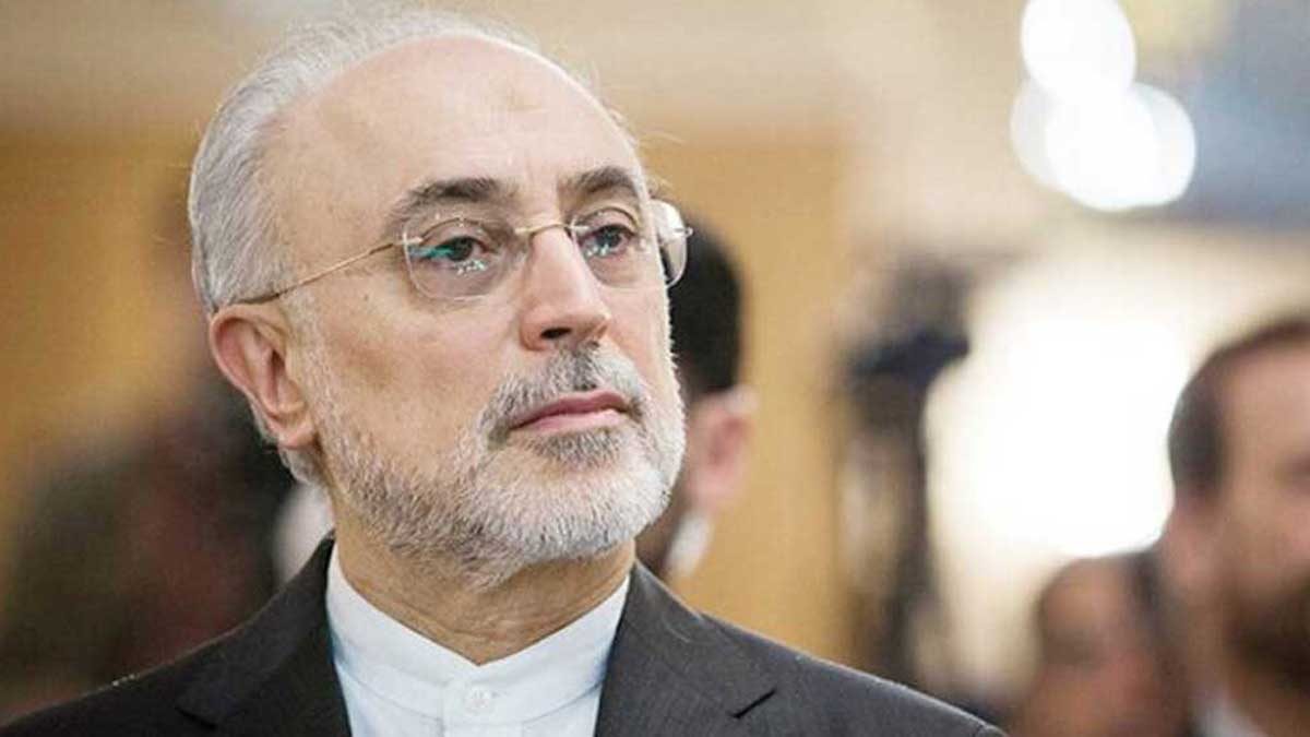 علی اکبر صالحی در دفاع از نام تاریخی خلیج فارس