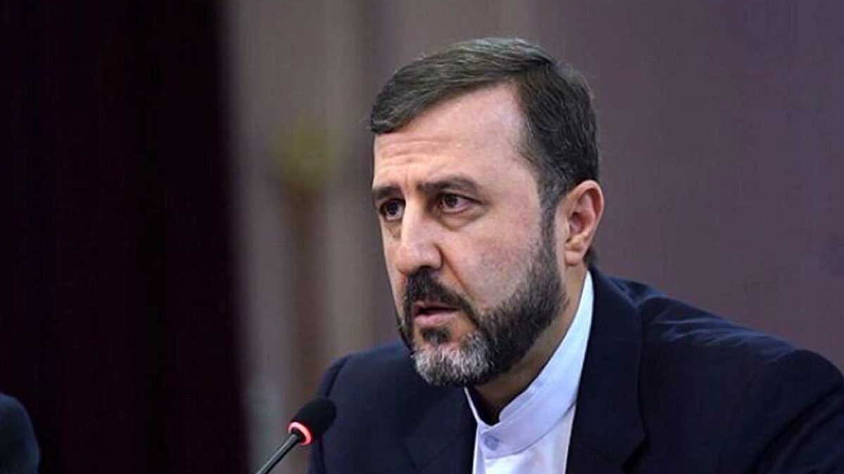 معاون حقوقی وزارت خارجه در نشست خبری درباره مذاکرات رفع تحریم
