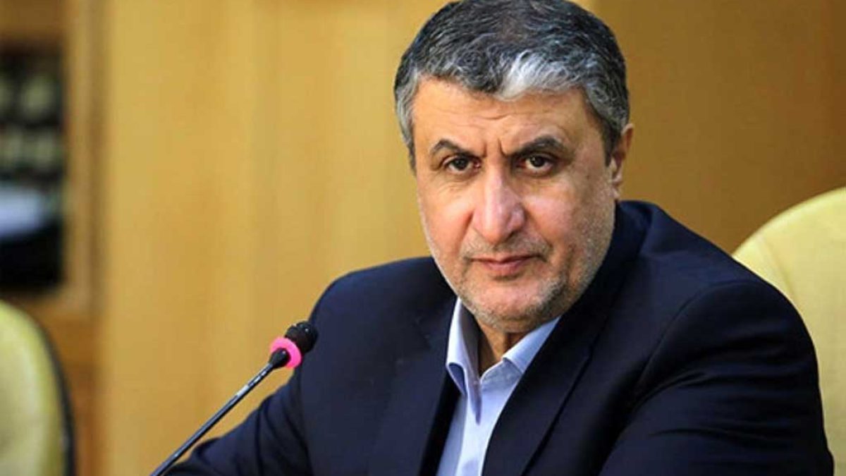 محمد اسلامی رئیس سازمان انرژی اتمی ایران در حال سخنرانی