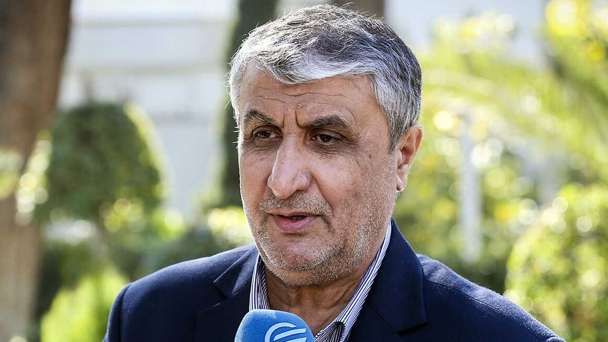 محمد اسلامی رئیس سازمان انرژی اتمی ایران در نشست خبری
