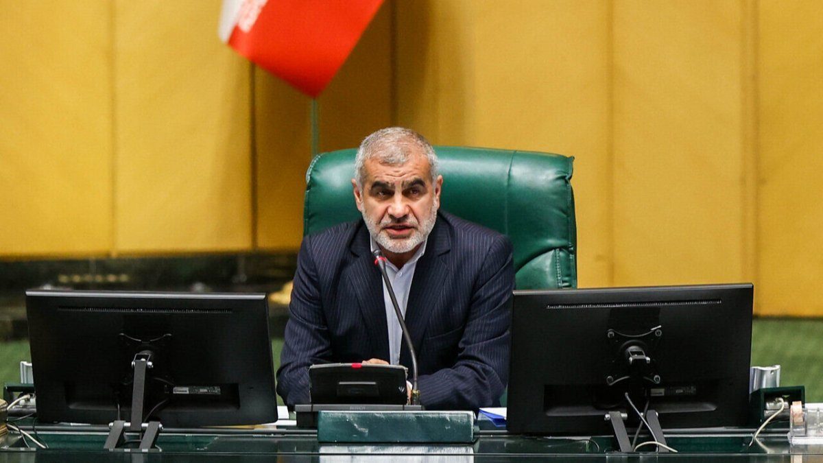 لایحه حمایت از زنان، مجلس شورای اسلامی، علی نیکزاد