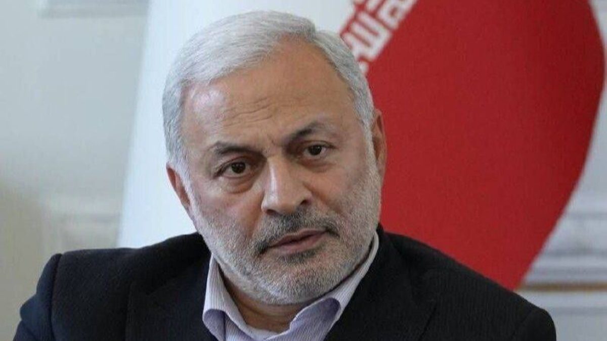 وحید جلال‌زاده، قانون حمایت از ایرانیان خارج از کشور، شورای نگهبان