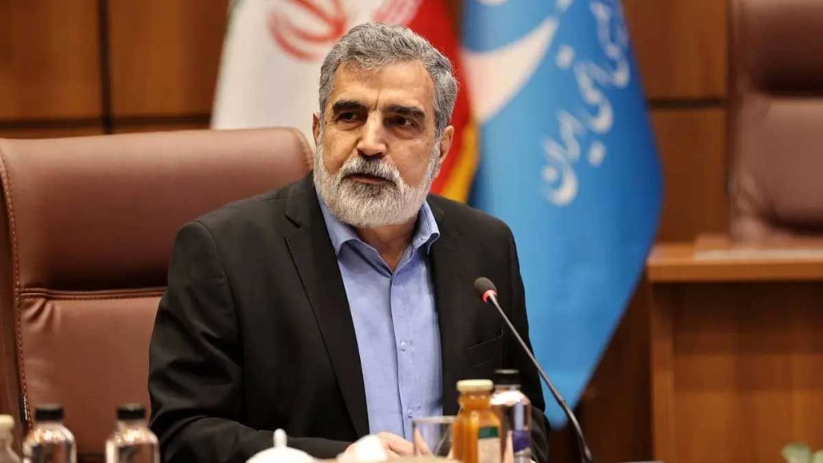 بهروز کمالوندی سخنگوی سازمان انرژی اتمی ایران